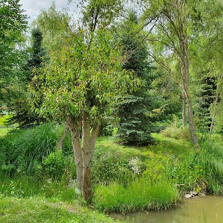 Villa Kamilla Kulcsoshaz Sub Cetate Exterior foto