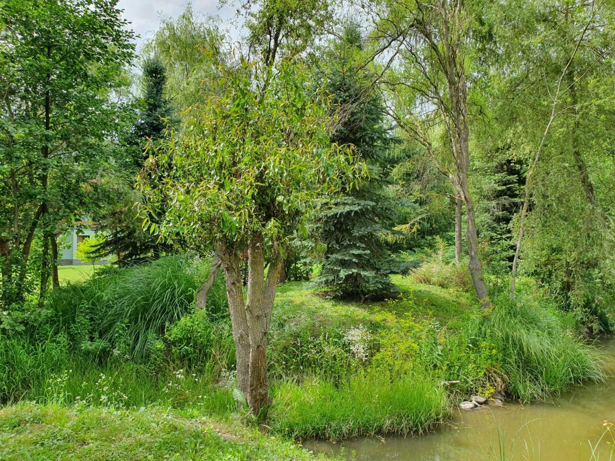 Villa Kamilla Kulcsoshaz Sub Cetate Exterior foto